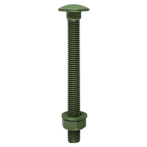 Carriage Bolts Hex Nuts & Washers Exterior Green