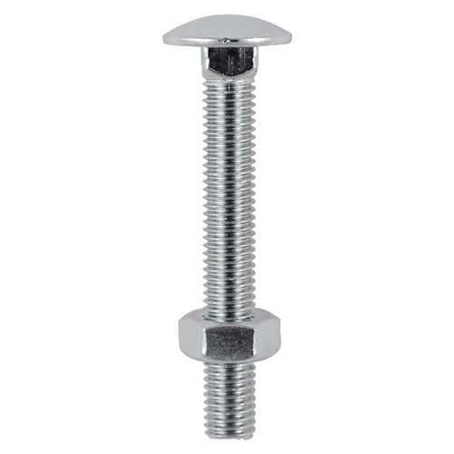 Carriage Bolt & Nut Stainless Steel